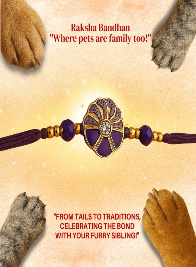 Sage Square Paw Bandhan Rakhi for Cats & Dogs | Pet-Safe Evil Eye Resin Design | Celebrate Raksha Bandhan with Love for Pets (Design 3) - Image 5